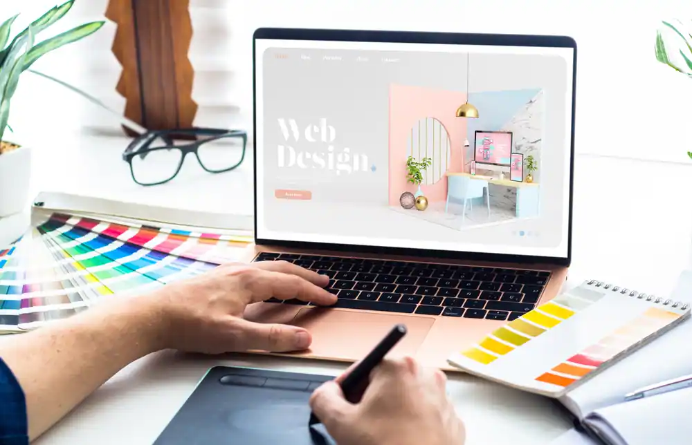 web profesional